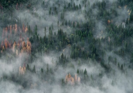 Klimatförändringarna snabbare och allvarligare än tidigare prognoser enligt IPCC