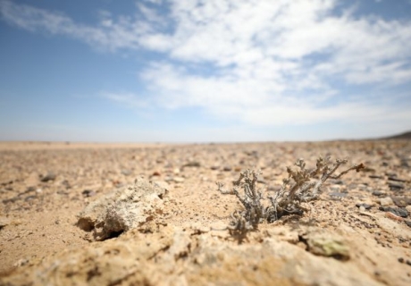 Afrika bidrar minst till klimatkrisen men drabbas hårdast