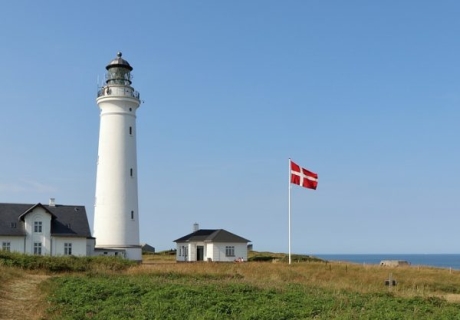 Danmarks regering rekordsatsar på växtbaserat