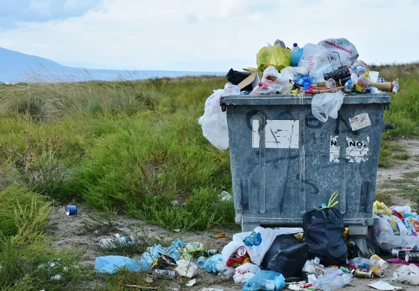 Salt och plast drabbar värdefulla odlingsmarker