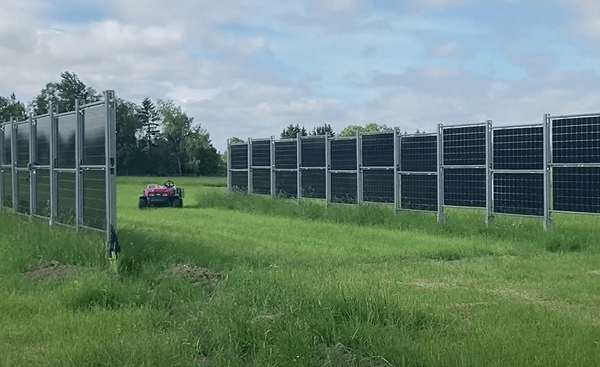 Solceller och odling i lyckad kombination – Först i Sverige