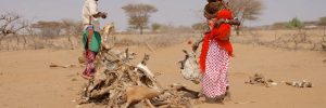 Nöden ökar i norra Kenya i torkans spår