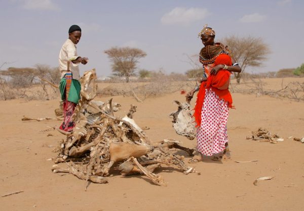 Nöden ökar i norra Kenya i torkans spår