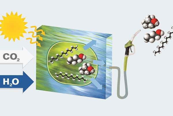 Artificiell fotosyntes ger möjlighet till framtida fossilfritt bränsle
