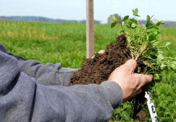 Låt jordbruket leda vägen ut ur klimatkrisen