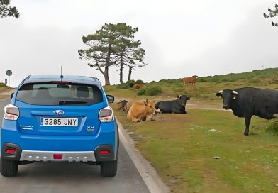 Nytt allvar inför möjligheterna att minska klimatutsläppen genom en omställning av konsumtionen