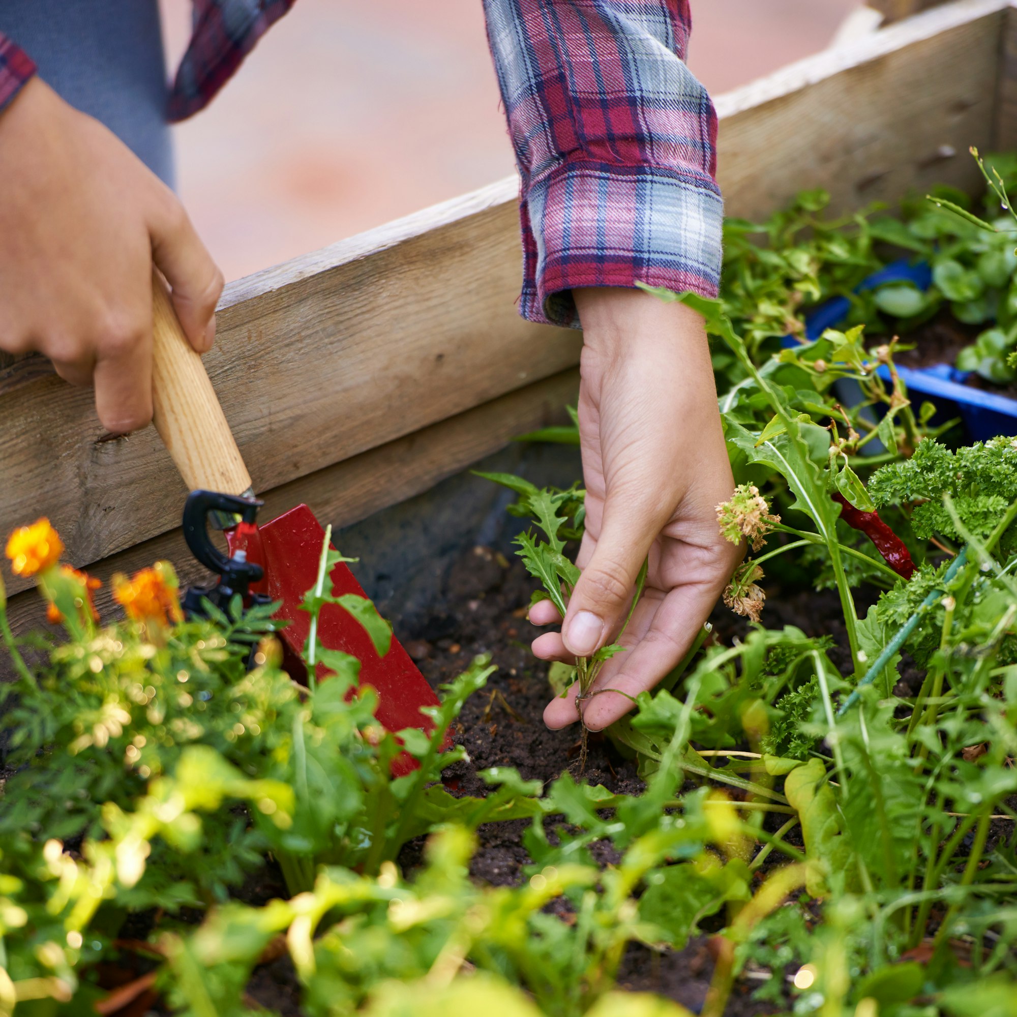 Lifes a garden. Dig it.