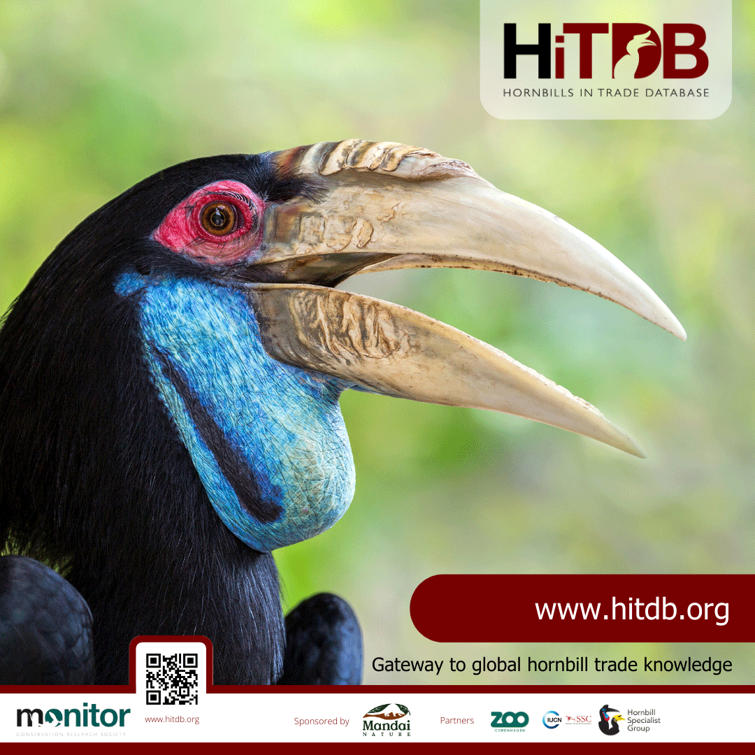 hiTDB.org poster