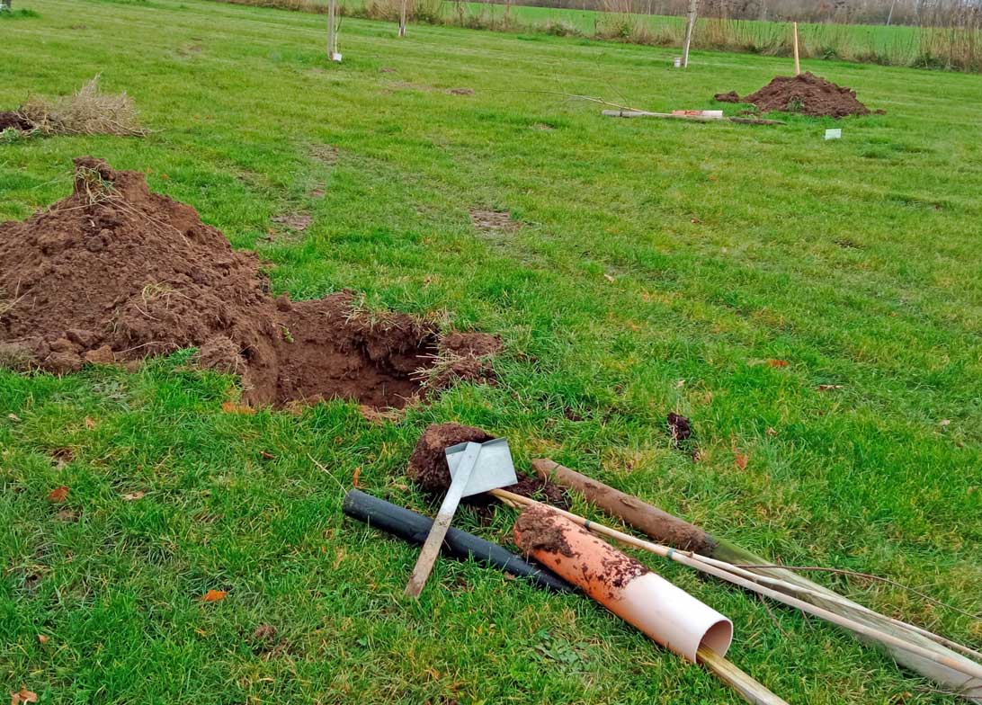 21. november 2023: Der er gravet store huller i arboretet, hvor der skal plantes nye træer i stedet for dem, der er gået ud på grund af stiv jord og sommerens tørke. Nu bliver der fyldt godt med kompost i hullerne, så træerne får bedre vækstbetingelser.