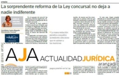 Reforma ley concursal Amelia Medina Cuadros