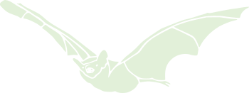 vleermuis-inh-opg vleermuis-inh-opg