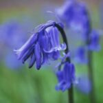 Profile photo of Linda