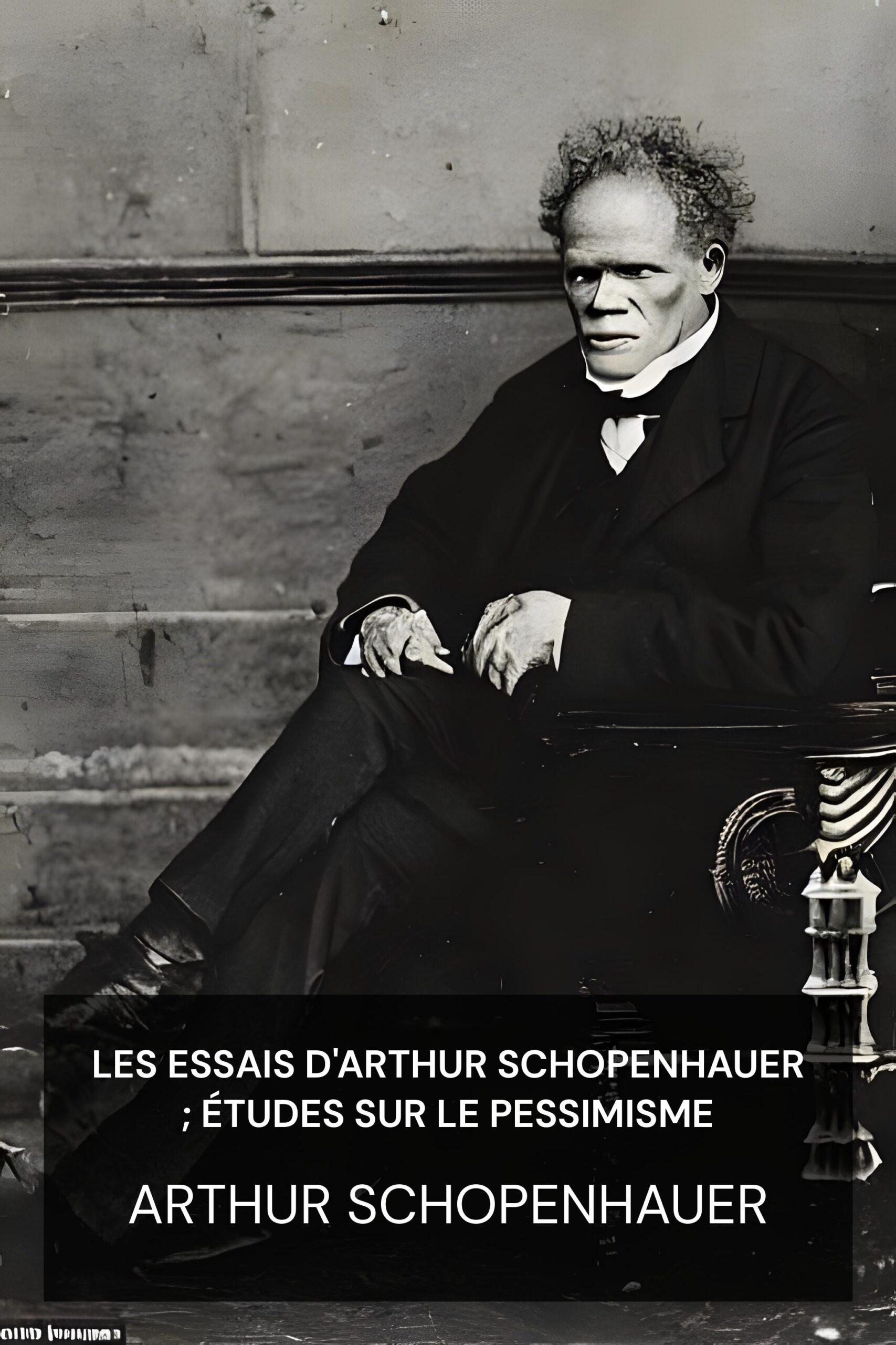 Les Essais d'Arthur Schopenhauer ; Études sur le pessimisme - Arthur Schopenhauer (The Essays of Arthur Schopenhauer; Studies in Pessimism - Francais)