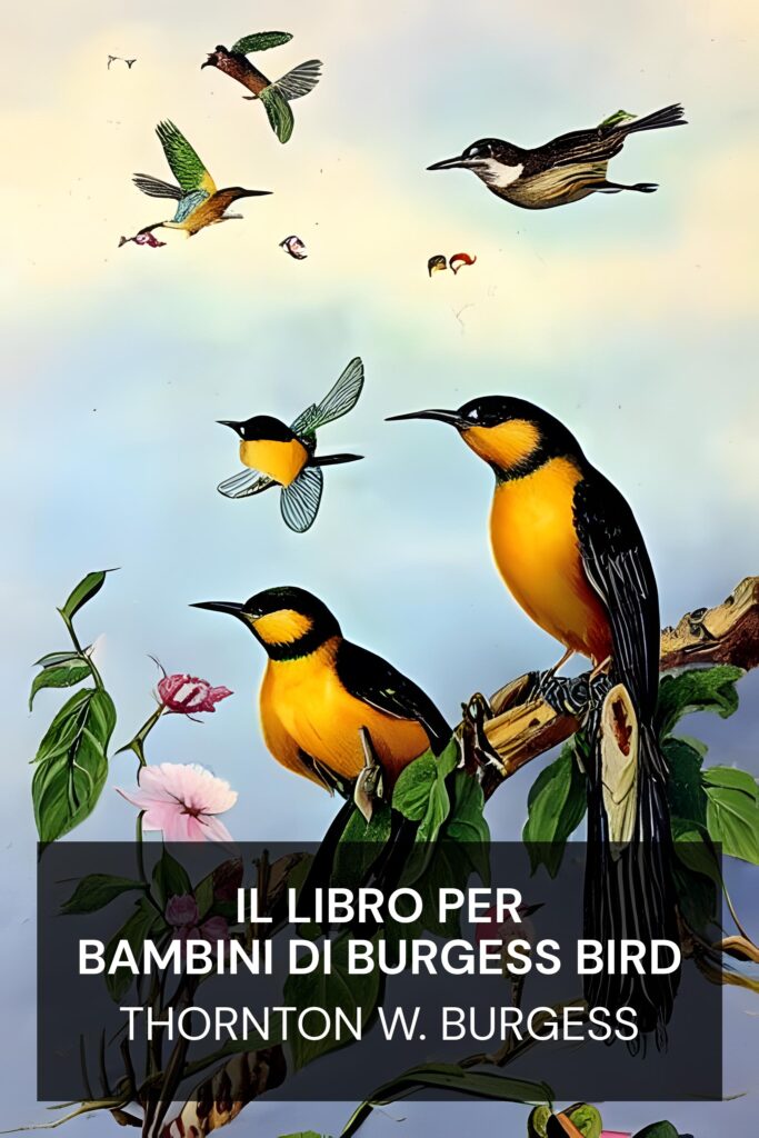 Il libro per bambini di Burgess Bird ebook cover