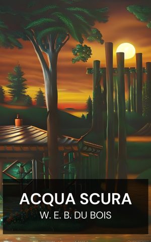 Acqua scura - W. E. B. Du Bois (Darkwater - Italiano)