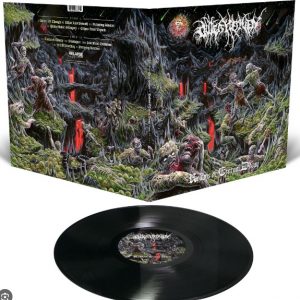 Outer Heaven - Realms of eternal decay, black vinyl