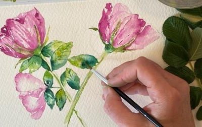 roser-akvarelkursus-malekursus
