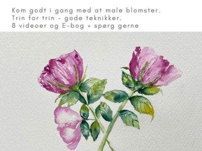 akvarelkursus som bog. Lær at male blomster