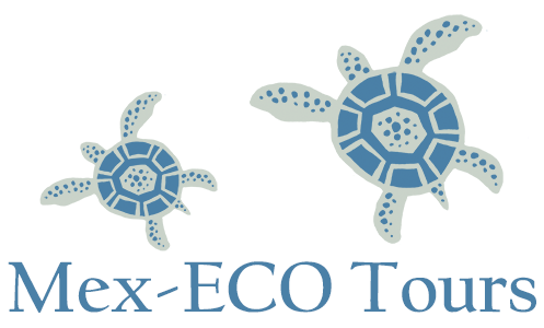 Mex-ECO Tours Logo