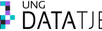 Ung datatjej logo