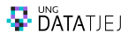 Ung datatjej logo