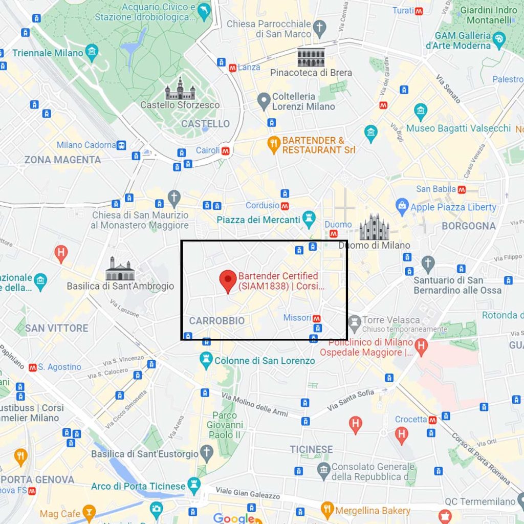 Google Maps - Micro Onda Group