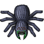 Phase spider