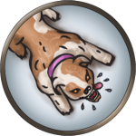 Token-round-Blink-dog-round