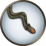 Token-round-Eel-round