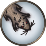 Token-round-Rat