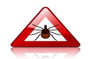 Zecken beim Hund. Zecken Warnschild