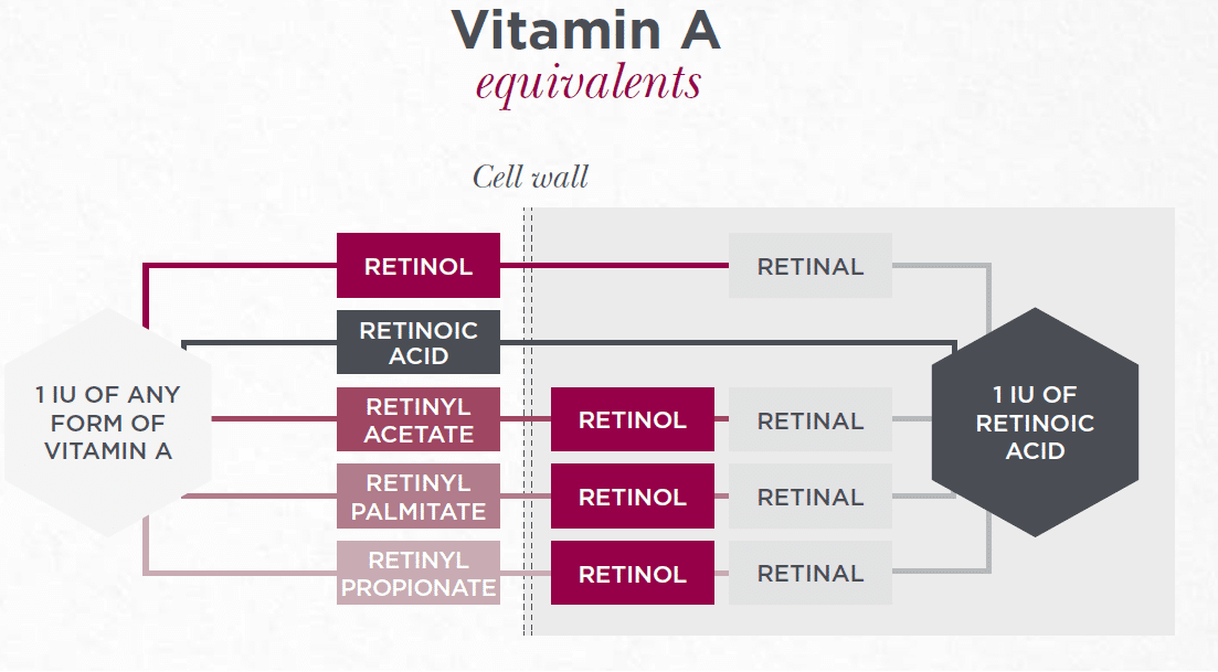Vitamin A - Metaboliska färdvägar