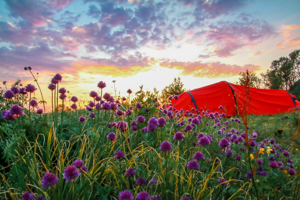 Bibelcamp på Holmen 14.-23. juli