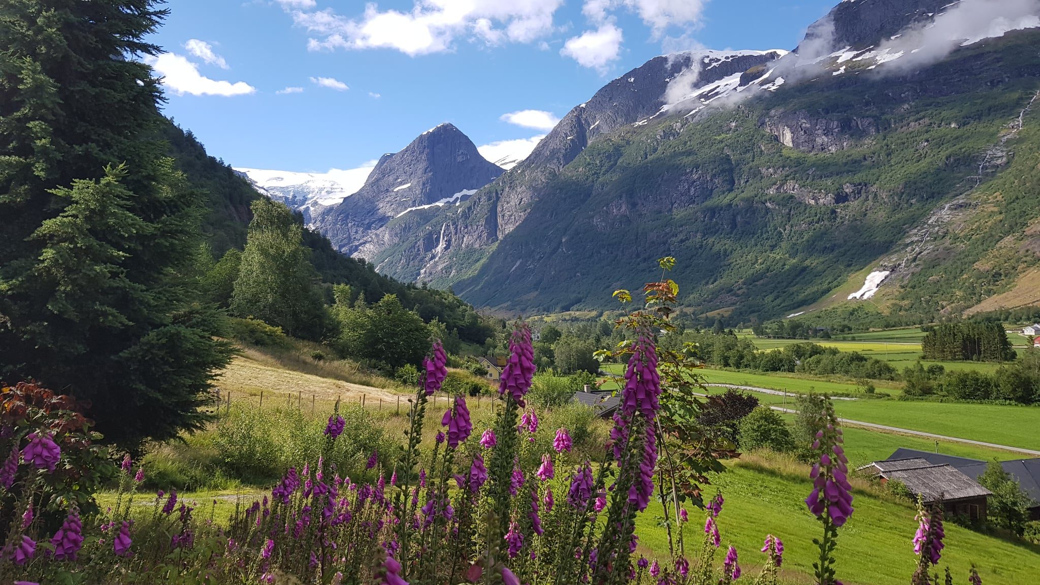 Velkomen til bibelhelg for unge-voksne i Oldedalen 10. – 14. juni 2026!