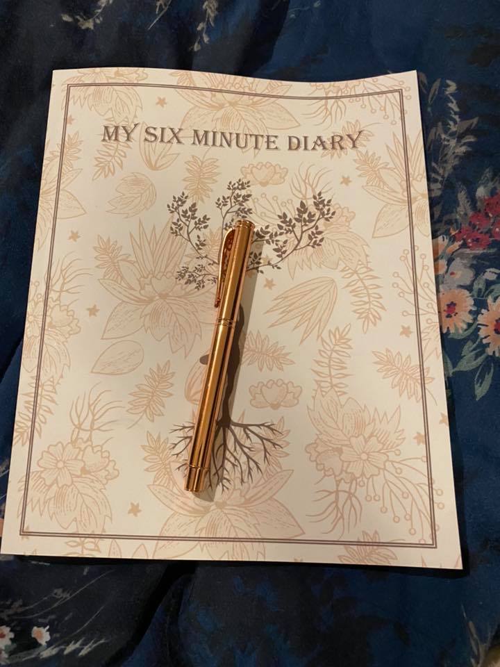 Diary and pen