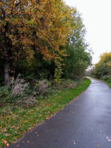 And just a short walk away is Millennium Wood with footpaths and open views