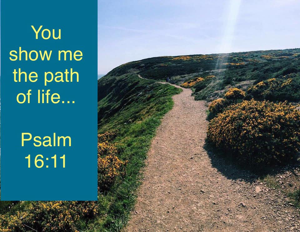 You Show Me the Path of Life