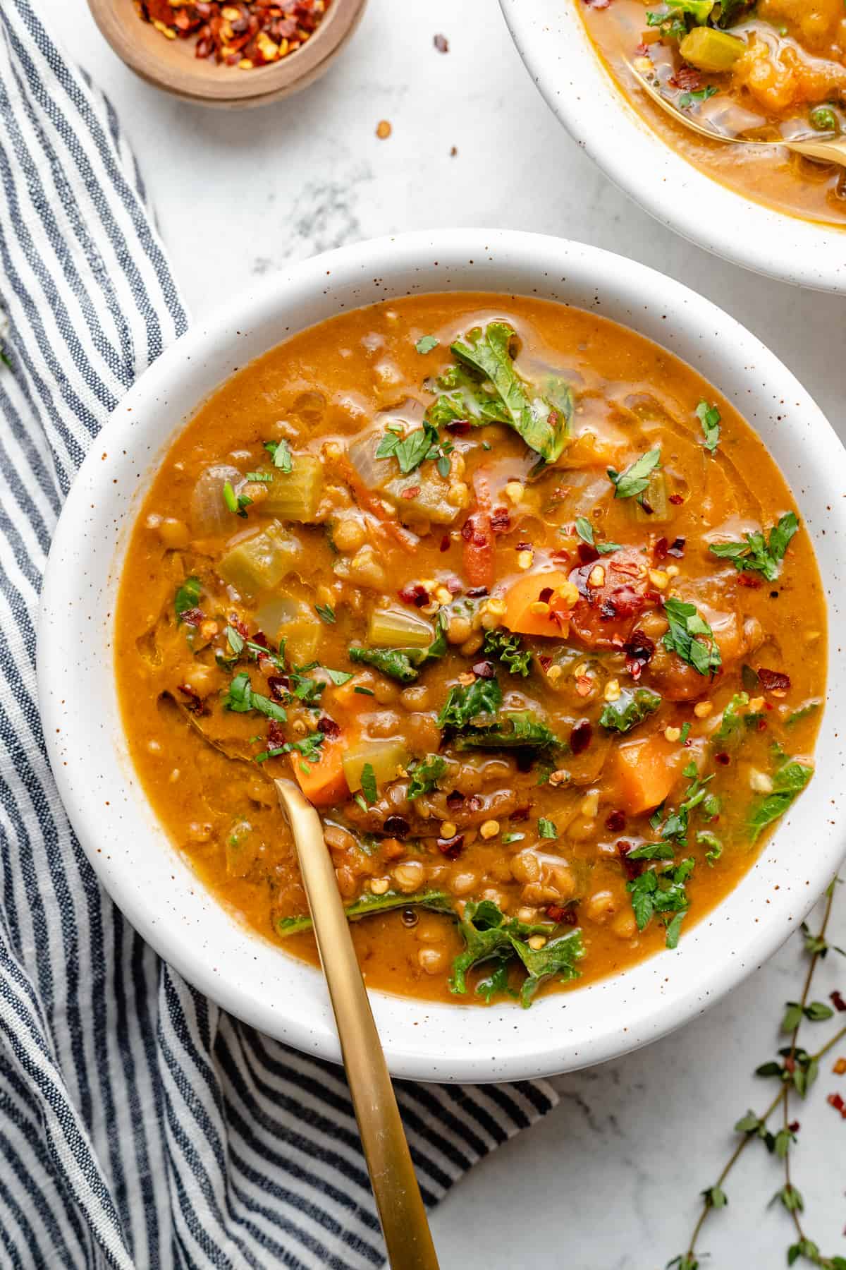 Spicy Indian Soup