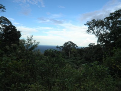 Image Thumbnail