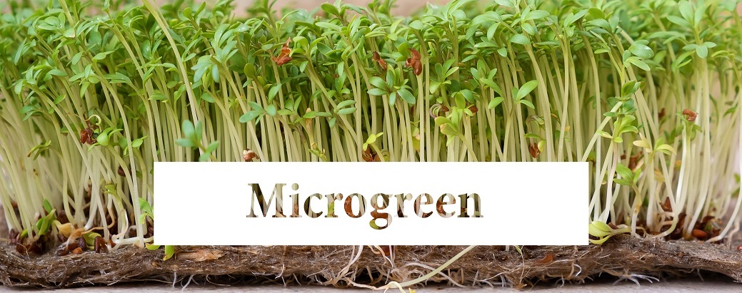 Microgrønt