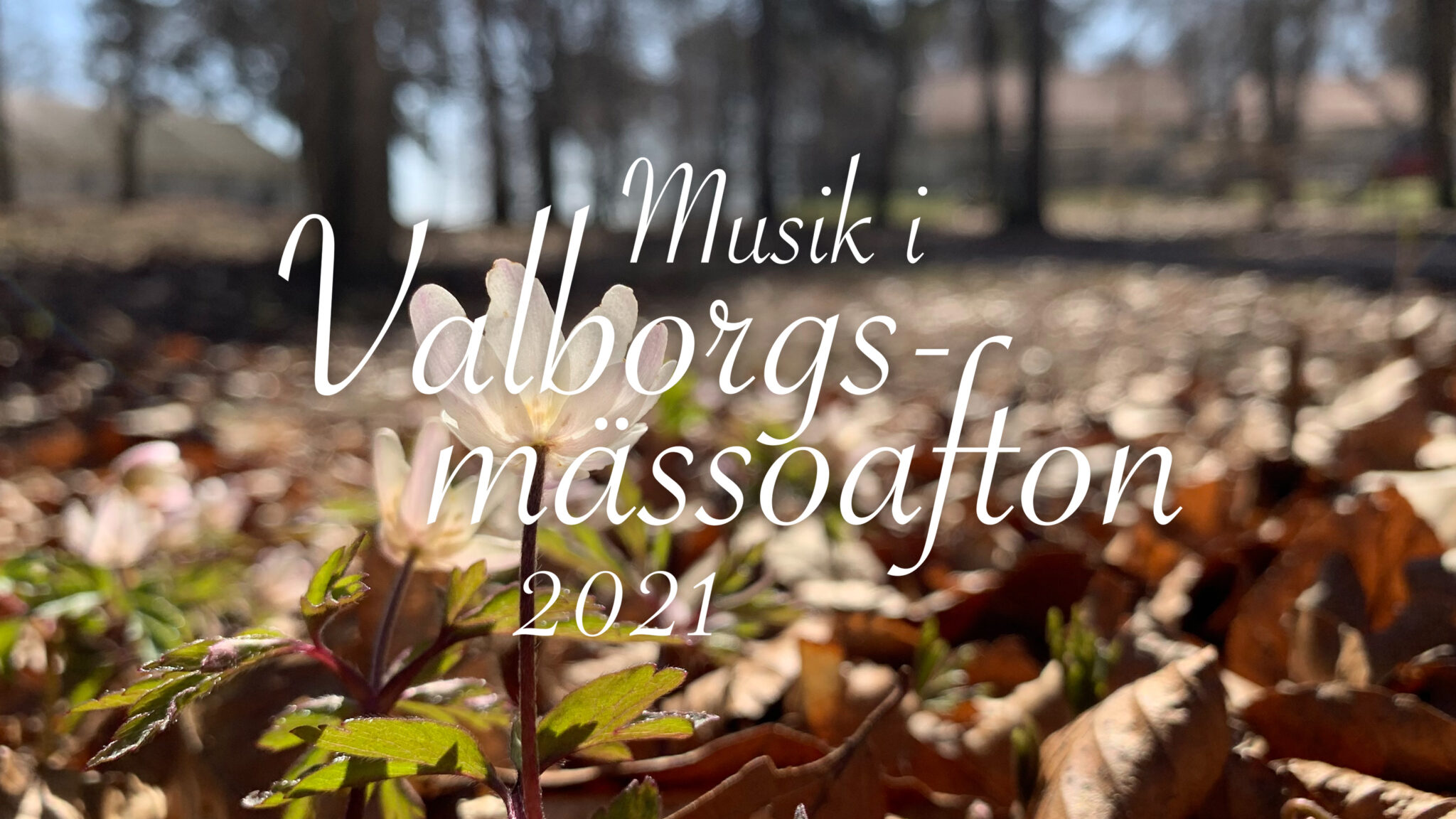 Musik i Valborgsmässoafton