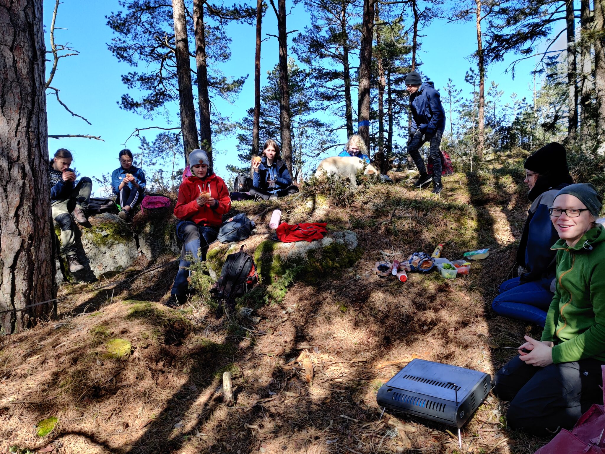 Våraktiviteter på scouterna