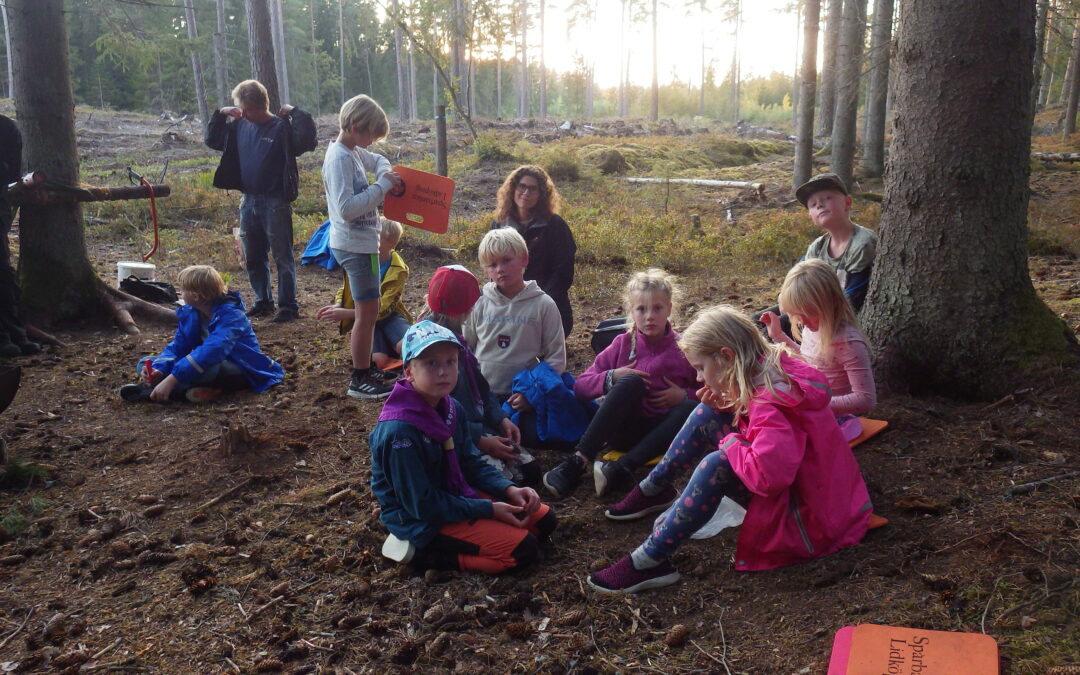 Sinnen, eld och omvårdnad