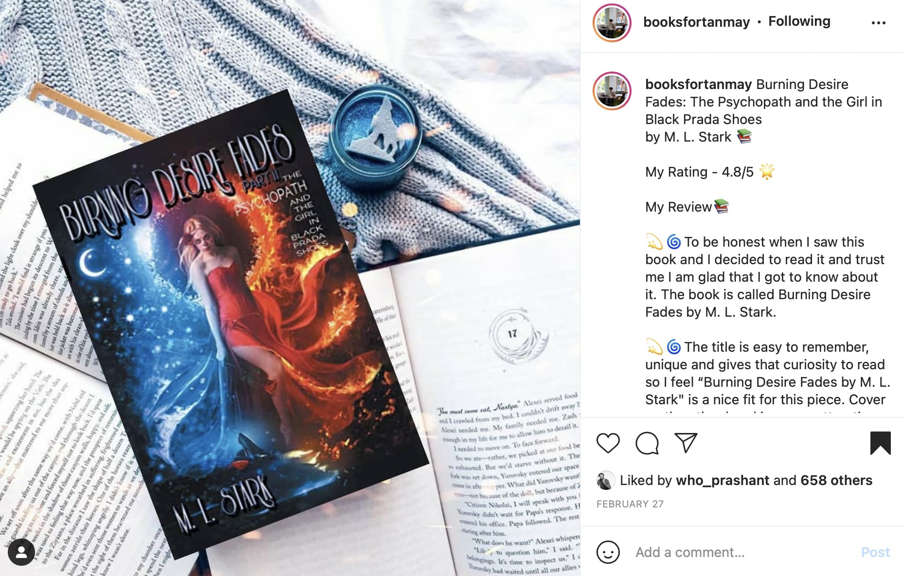 Instagram book review featuring Burning Desire Fades by M. L. Stark displayed alongside an open book and reader commentary.