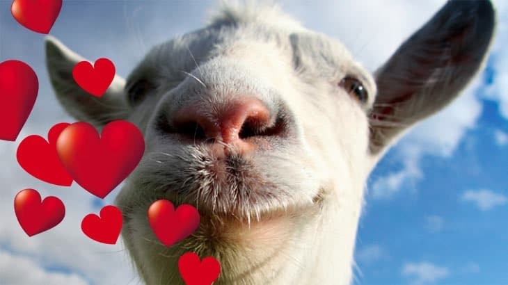 Love is evil. You can fall in love with a goat.