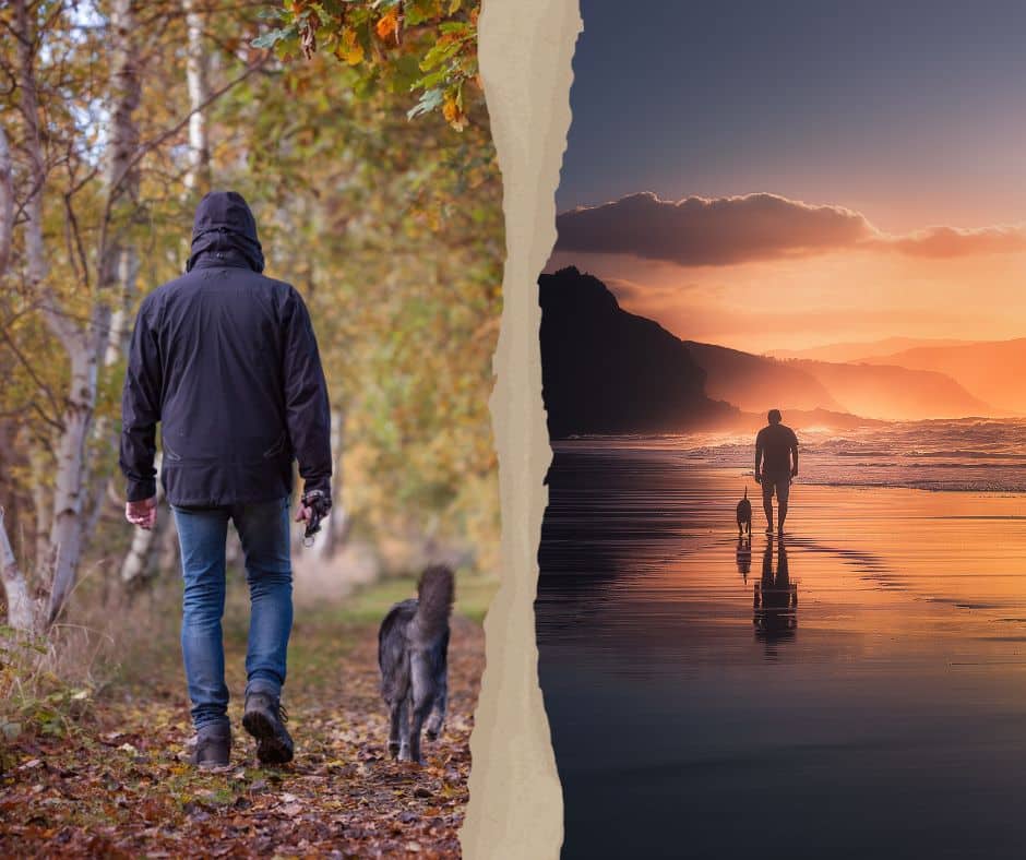 Have a walk in the nature. Several studies have proved excess screen time to be a significant cause of mental problems like anxiety or depression.