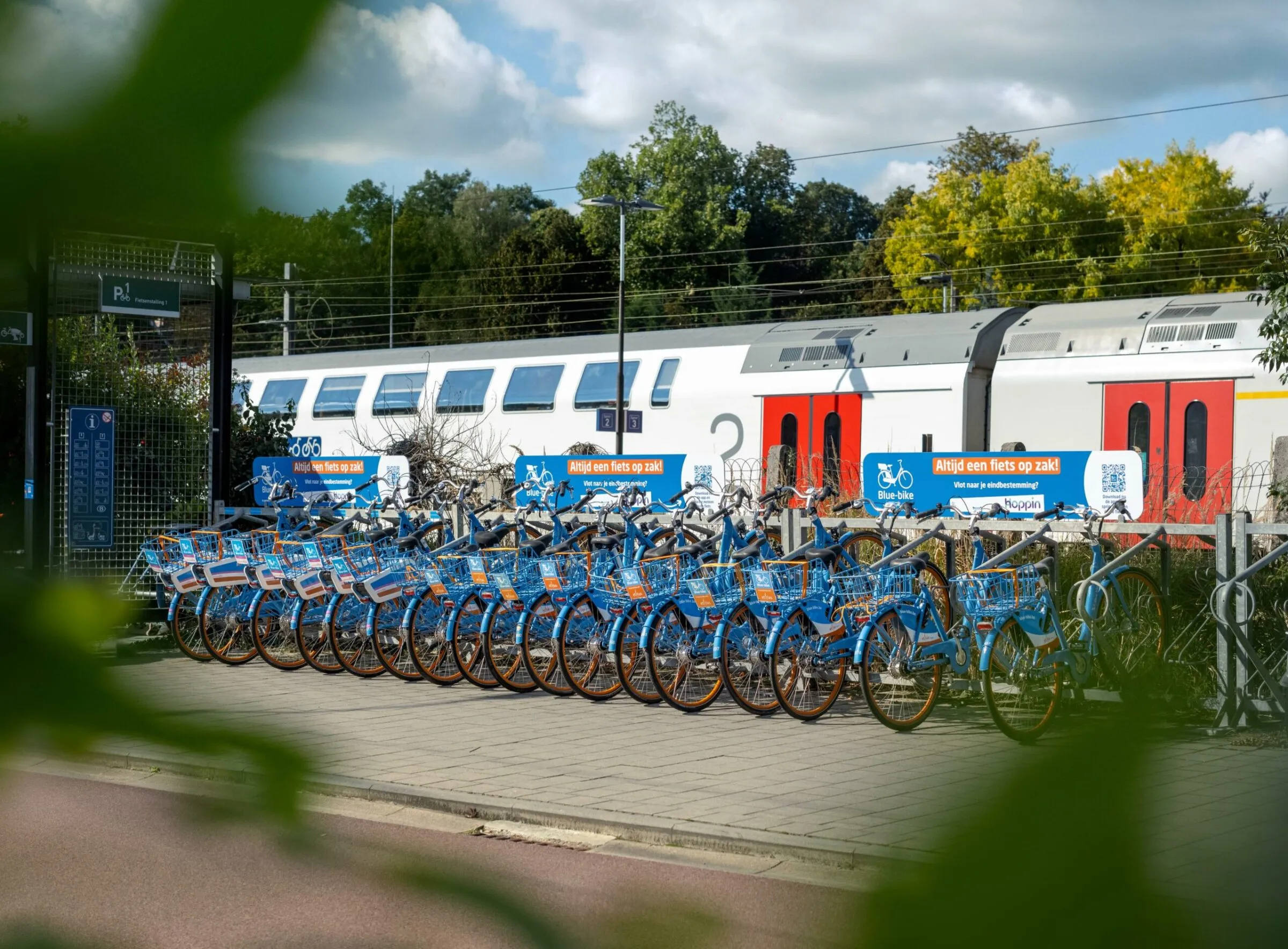 BLUE BIKE