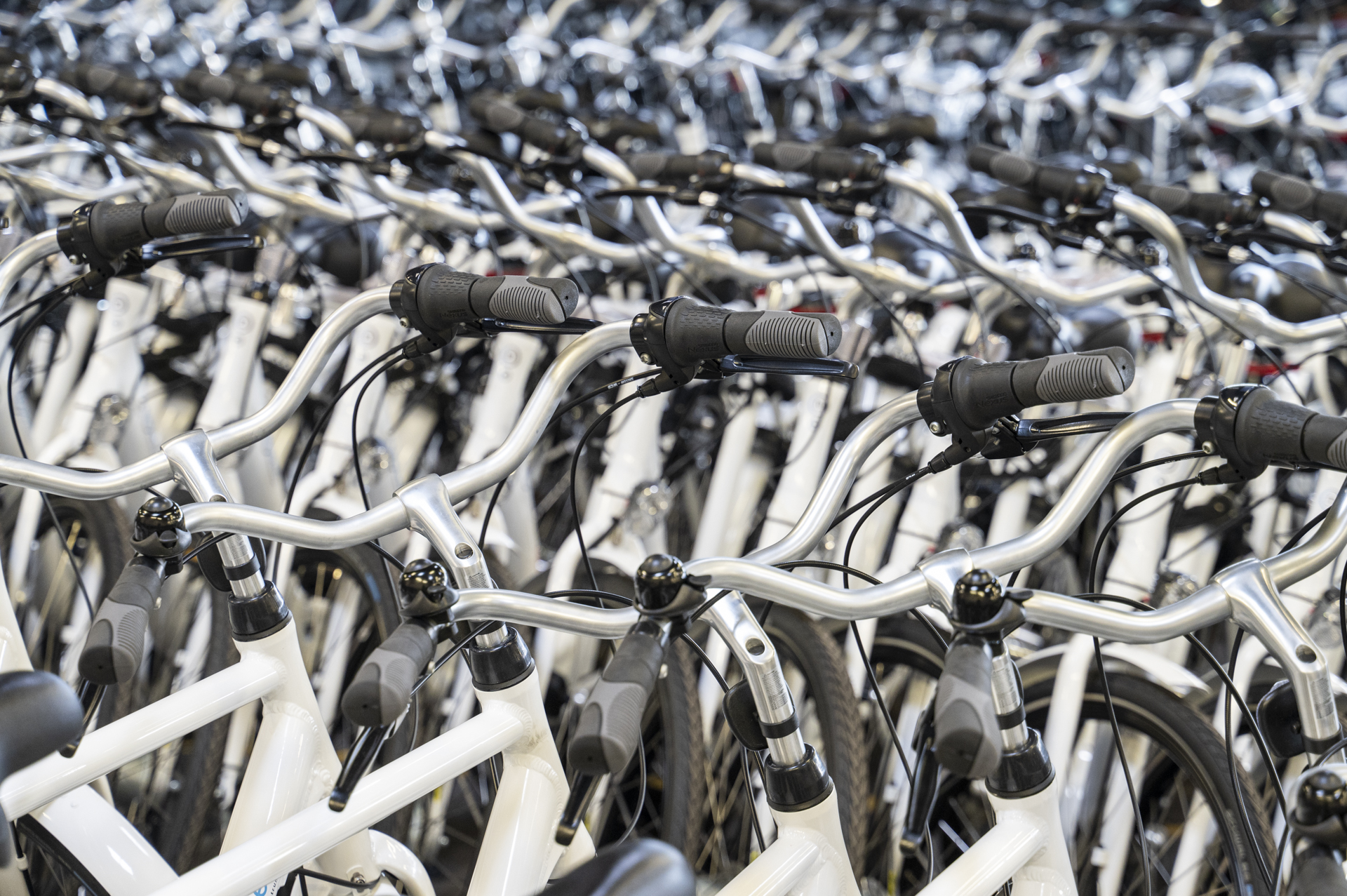 Recreational bike rental groups Mobile Kortrijk Recreational bike rental groups Mobile Kortrijk