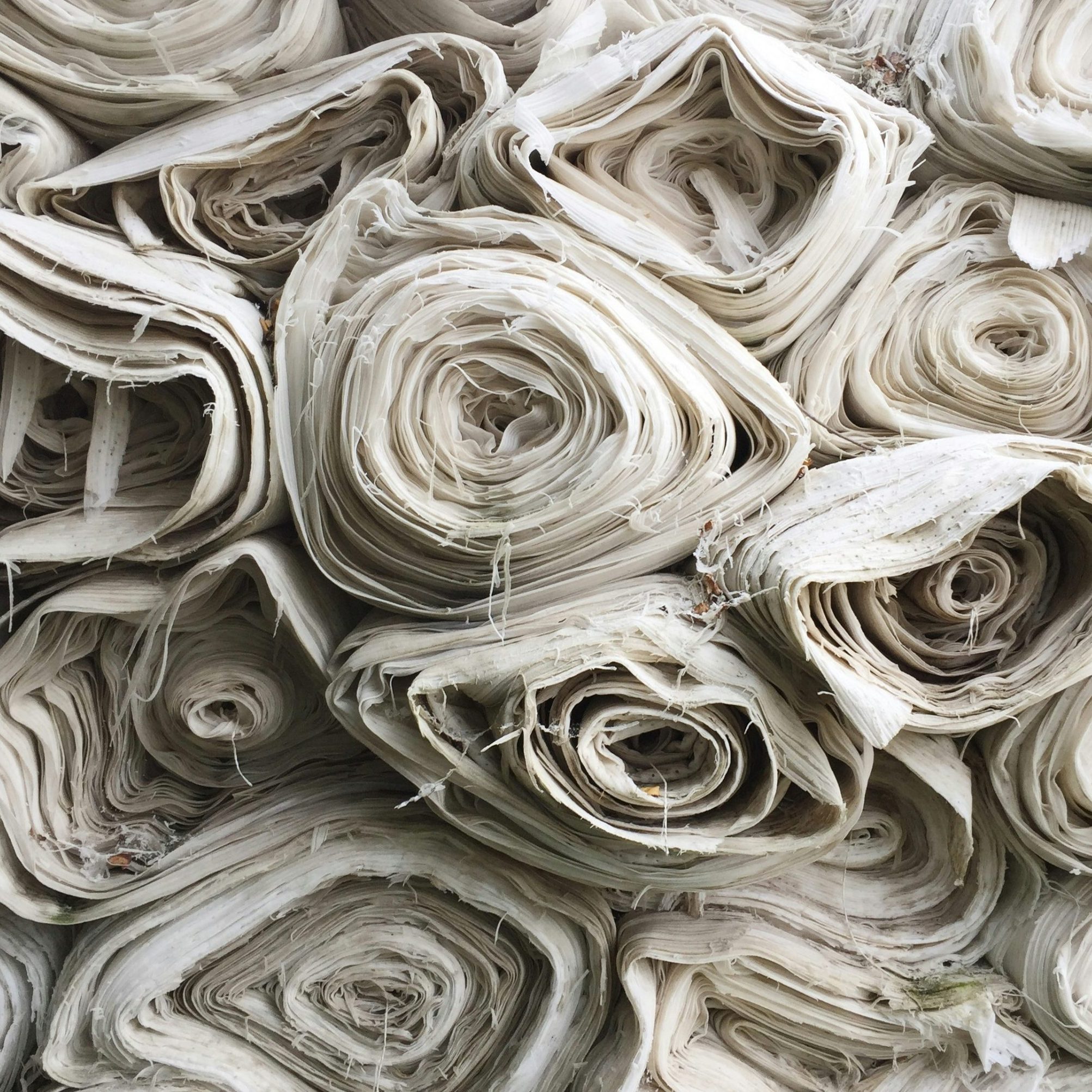 ethan-bodnar-kgC99X3WH1w-unsplash