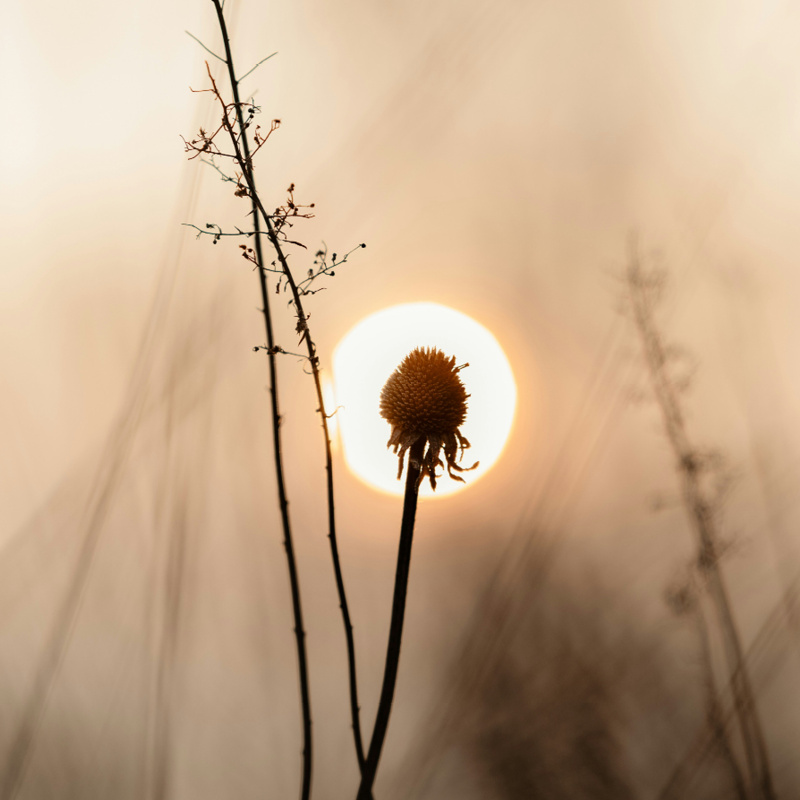 0332